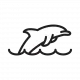 dolphin