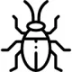 Insect