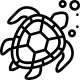 turtles