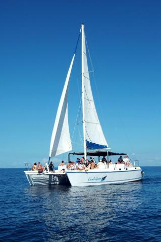 catamaran1