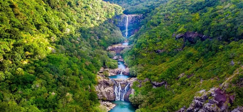 tamarin falls