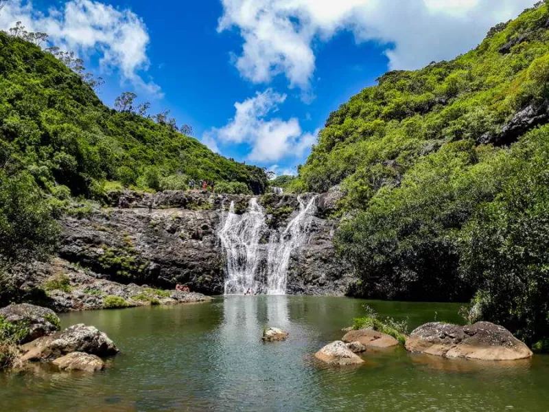 tamarin falls